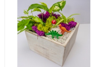 Plant Nite: Tropical Dino Forest in Wooden Cube
